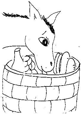 donkey